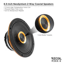 Recoil PX65.4 Pro Audio Neo coaxial speakers