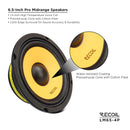 Recoil LM65-4P 6.5-Inch High-Power Midrange PRO Speaker 200W RMS